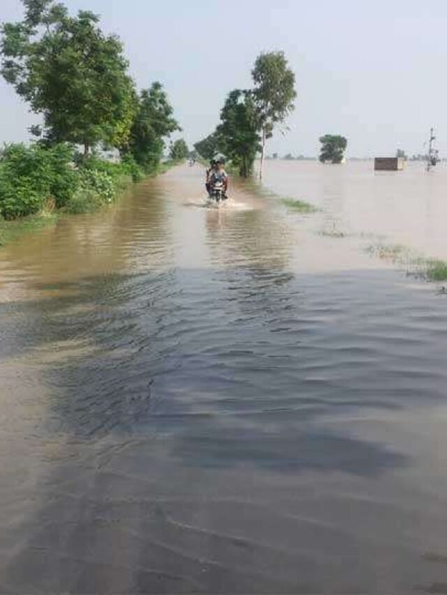 Hanumanagarh Flood News: School Closed